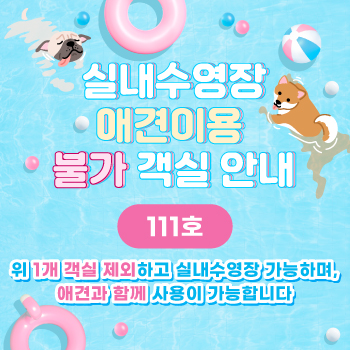 애견불가